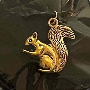 3D Squirrel pendant on 18” cord necklace